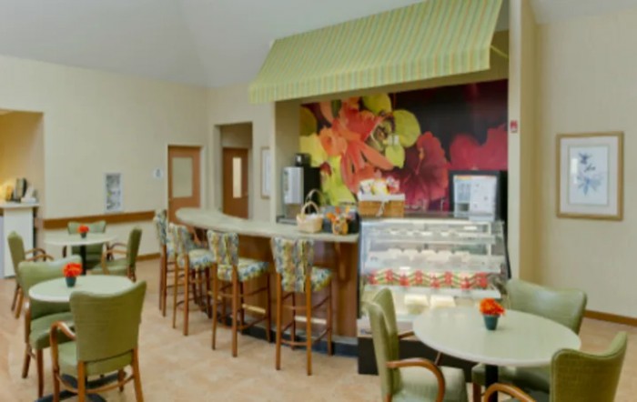 A cozy cafe with a counter, bar stools, and vibrant wall decoration.
