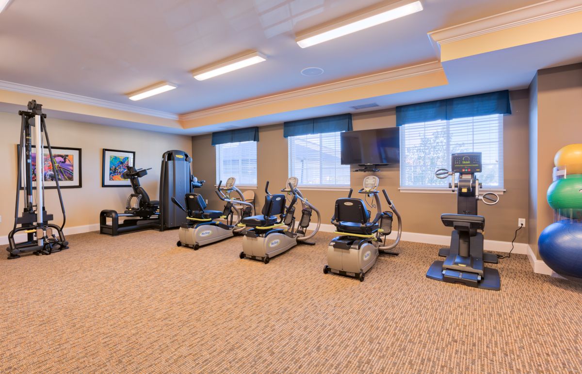 An indoor gym with various cardio exercise machines arranged neatly.