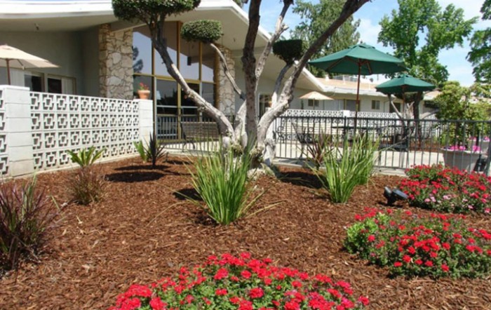 Dycora Transitional Health - Sanger