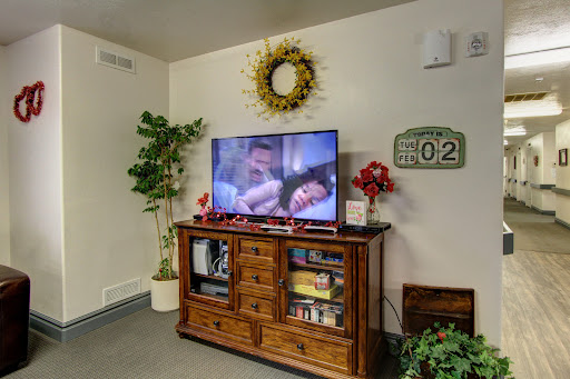 A cozy living room showcasing a wooden TV stand with a television displaying a scene, surrounded by decorative plants and wall art.