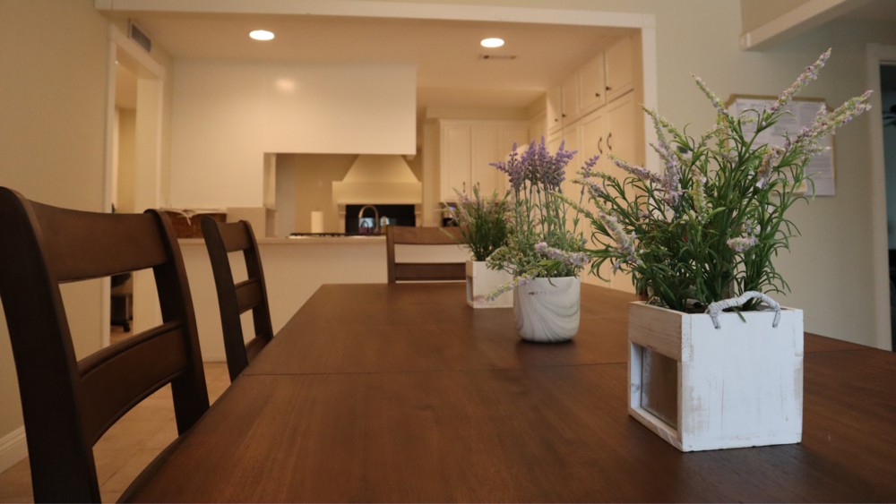 A cozy dining area with a wooden table and chairs, decorated with potted plants, leading into the kitchen.