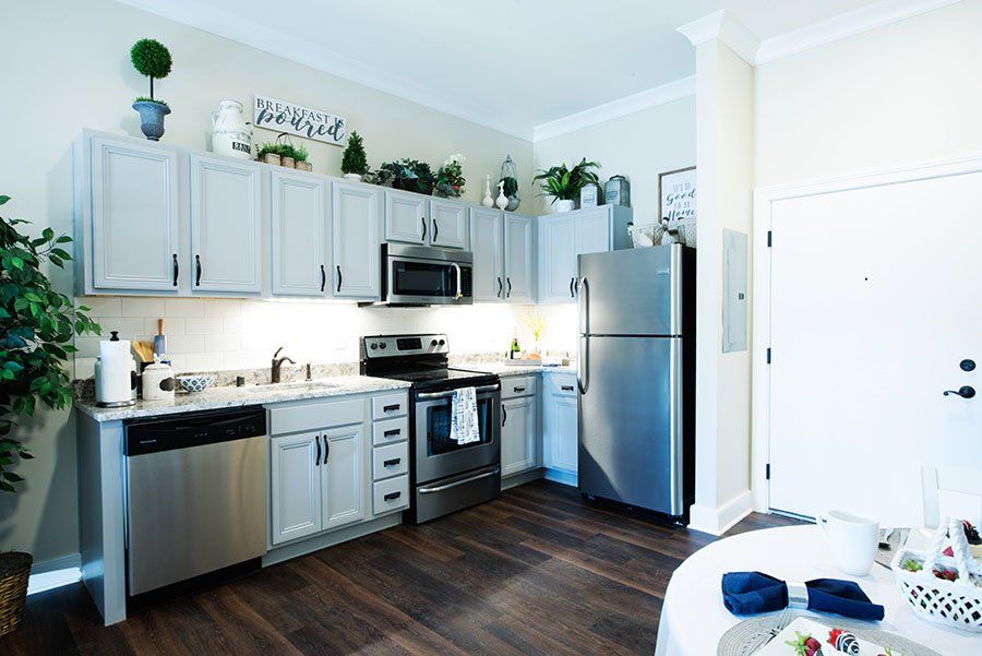 A modern kitchen with stainless steel appliances and decorative plants.