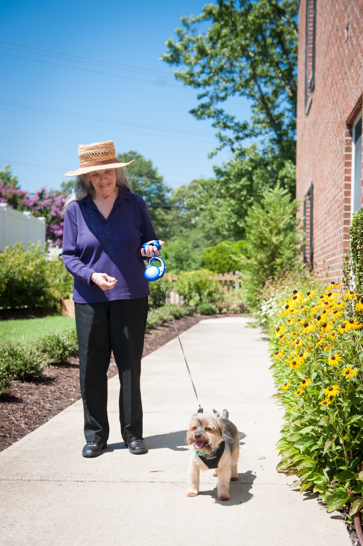 A woman wearing a hat walks her dog on a sunny day along a flower-lined sidewalk.