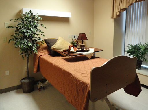 A well-decorated room featuring a neatly made bed with soft bedding, a bedside lamp, and a decorative plant.