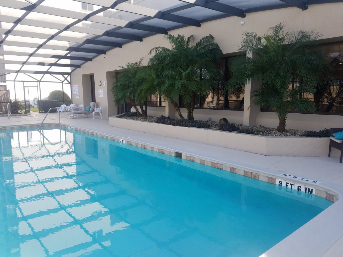 An inviting indoor swimming pool with a glass roof and tropical plants.
