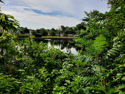 A tranquil view of a lush green landscape by the water, reflecting the peaceful surroundings.