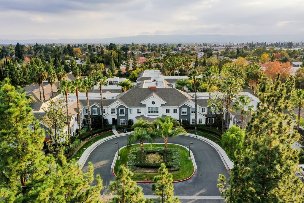 Aerial view of a large building surrounded by greenery and palm trees, featuring a circular driveway.