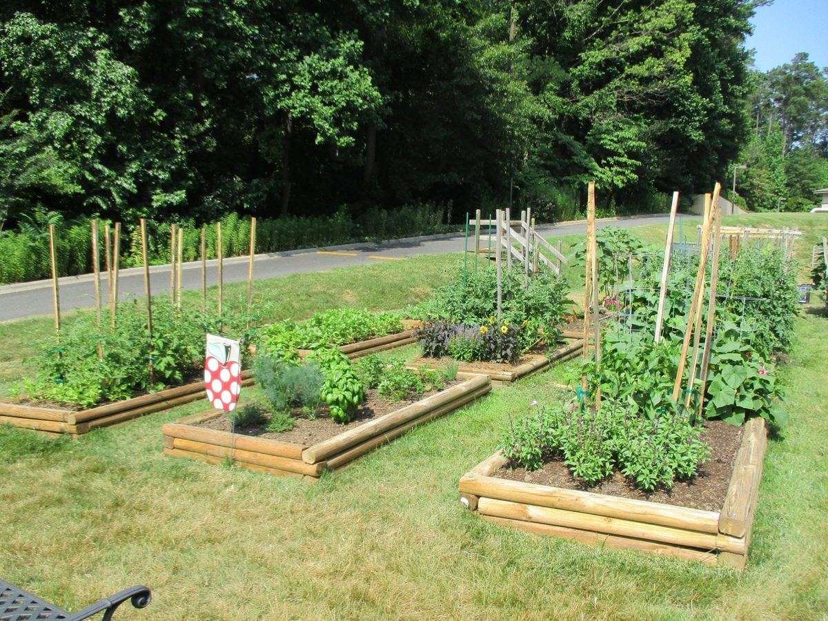 A scenic garden featuring raised beds filled with various plants and vegetables.