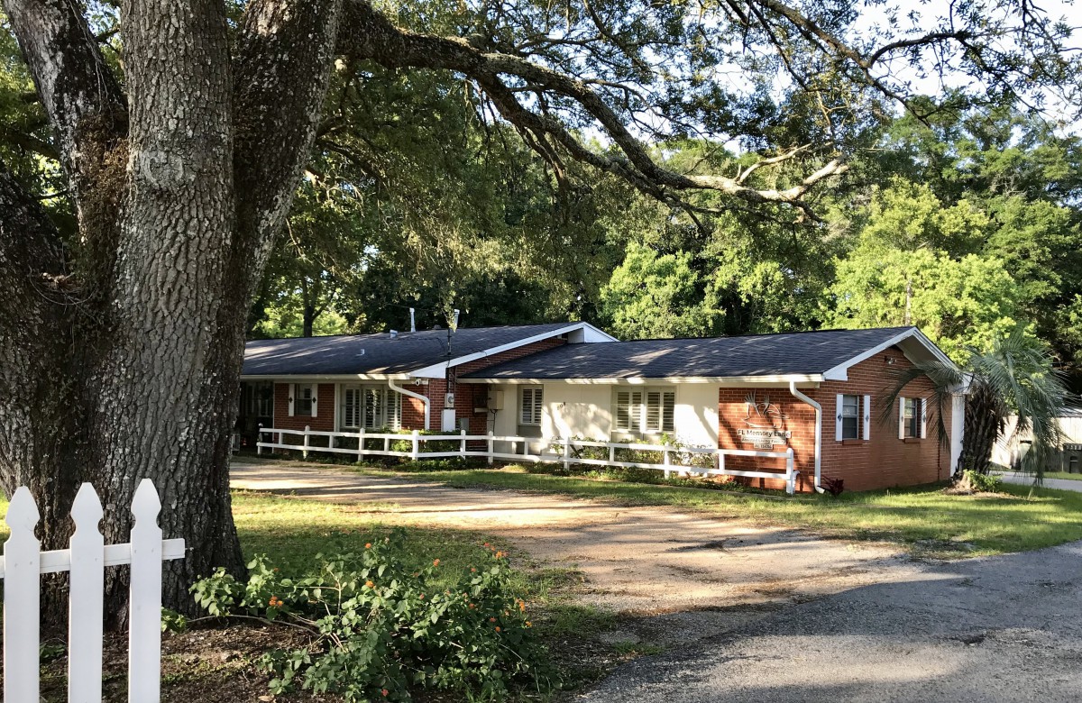 A ranch-style brick house surrounded by trees with a driveway in front.