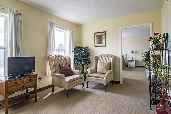 A cozy living room with two armchairs, a TV, and an indoor plant.