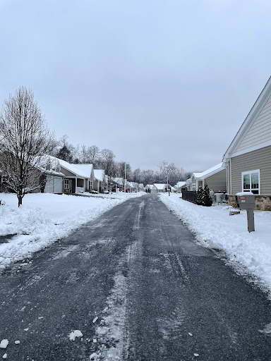 A quiet neighborhood street covered in fresh snow on a chilly winter day.