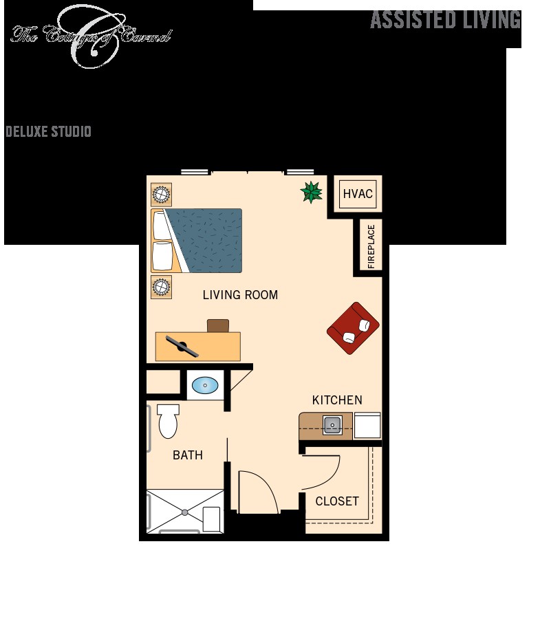 A floor plan of a studio apartment featuring a living area, kitchen, bathroom, and closet.