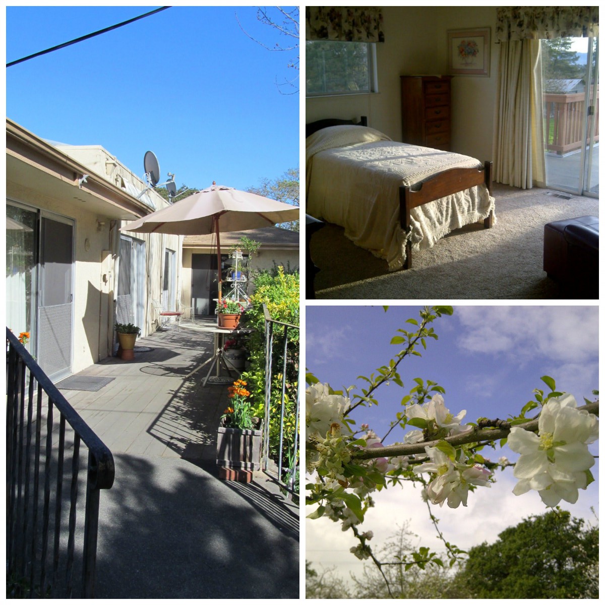 A cozy home featuring a sunny patio, a comfortable bedroom, and blooming flowers under a clear blue sky.