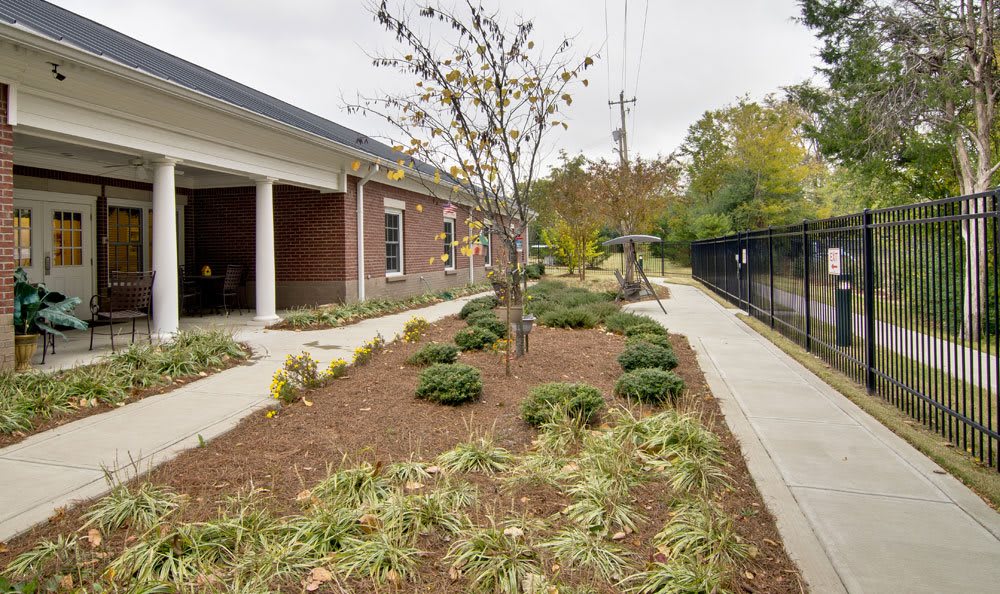 A well-maintained landscape with shrubs and trees alongside a building and sidewalk.