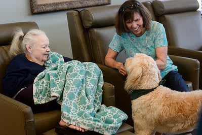 An elderly woman and a caregiver engage with a therapy dog in a comforting indoor setting.