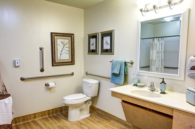 An accessible bathroom featuring a toilet, sink, mirror, and grab bars.