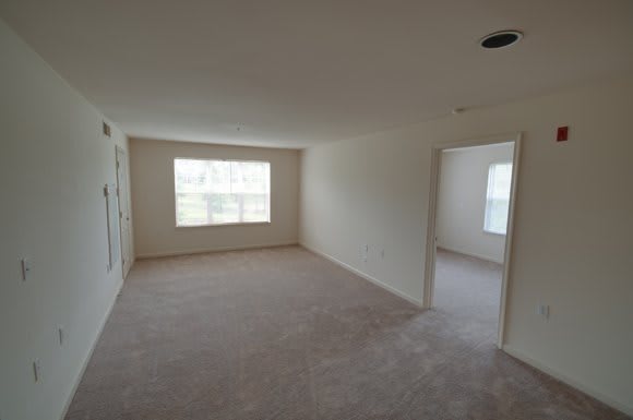 An empty room with carpet flooring and ample natural light coming through a window.
