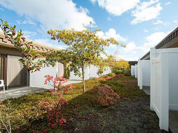 A tranquil garden pathway with autumn foliage under a partly cloudy sky.