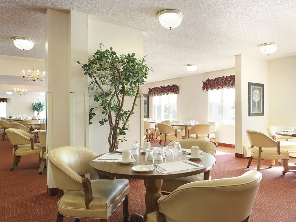 A cozy dining room with elegantly set tables and comfortable chairs, featuring a large potted plant and bright natural light from the windows.