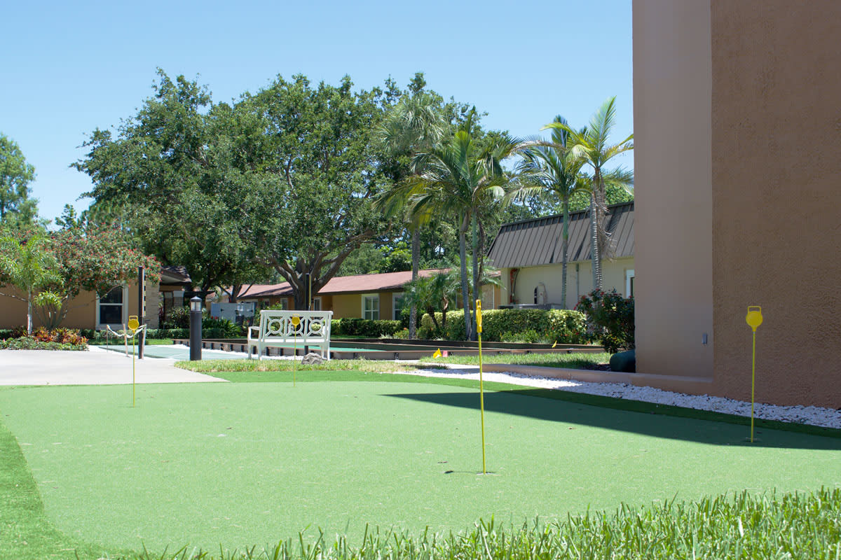A sunny outdoor scene featuring a putting green, surrounded by palm trees and buildings.