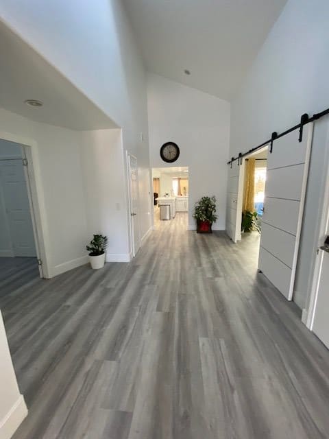 A modern hallway with sleek wooden flooring and sliding doors, featuring decorative plants and bright lighting.