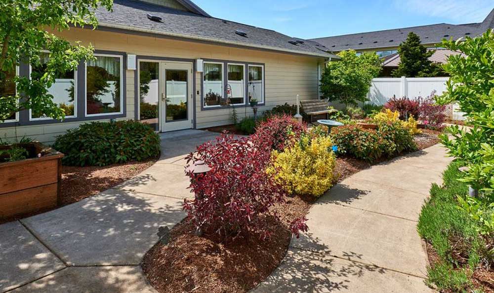 A sunny outdoor garden area with shrubs and a patio pathway leading to a building.