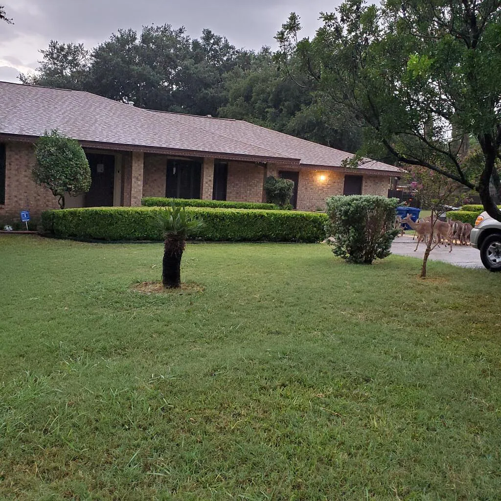 Mi Casa Es Su Casa