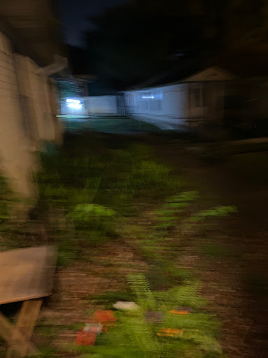 A dimly lit pathway surrounded by bushes and trees at night.