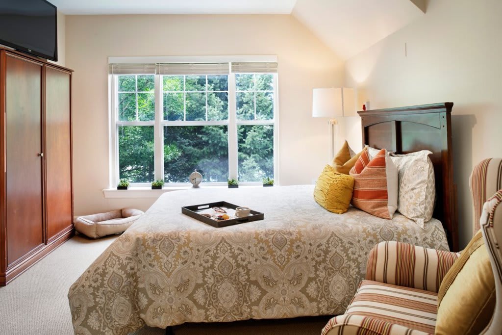 A cozy and well-lit bedroom with decorative pillows and a window view.