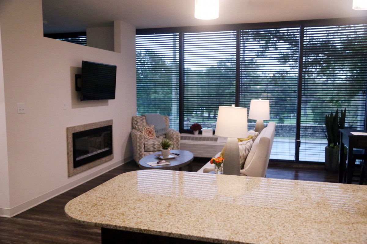 A modern living room with a fireplace, large windows, and comfortable seating.