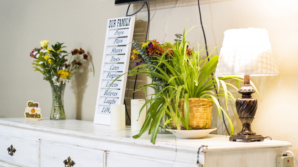 A cozy interior with a potted plant, decorative flowers, and a motivational sign.