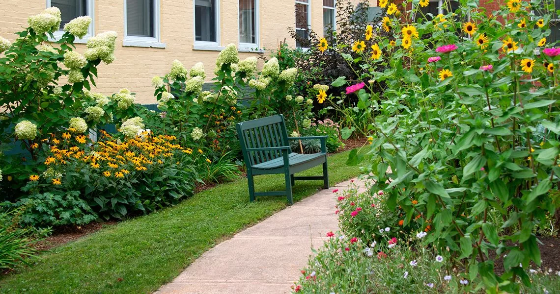 A peaceful garden with a bench surrounded by colorful flowers and a pathway.