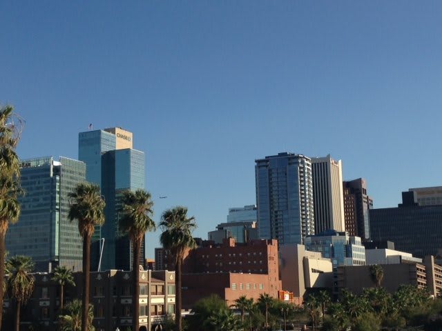 A view of skyscrapers and palm trees in a downtown area under a clear blue sky.
