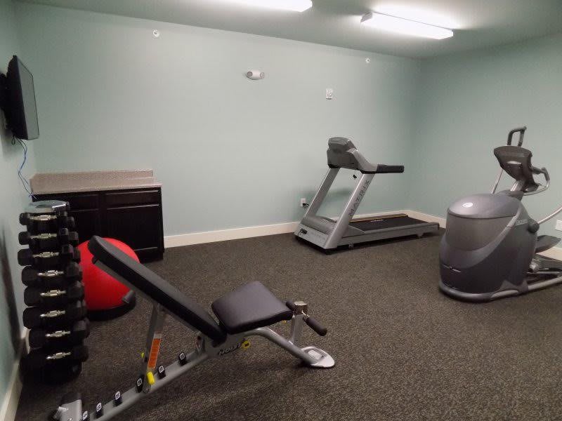 A small gym room with basic exercise equipment including a treadmill, bench, and fitness accessories.