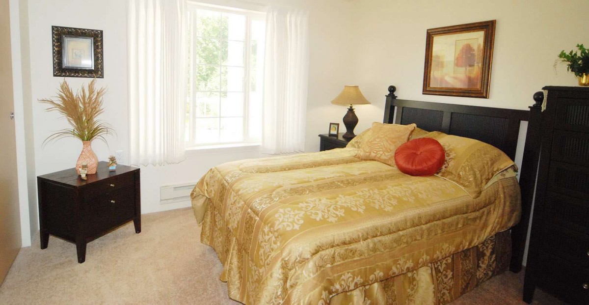 A cozy bedroom with a large bed, adorned in gold bedding, near a bright window.