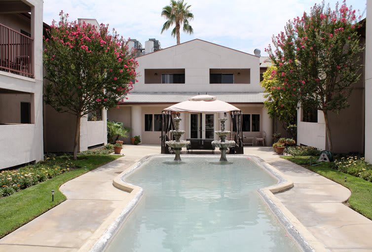 A modern house with a swimming pool and fountain in the foreground, surrounded by lush trees.