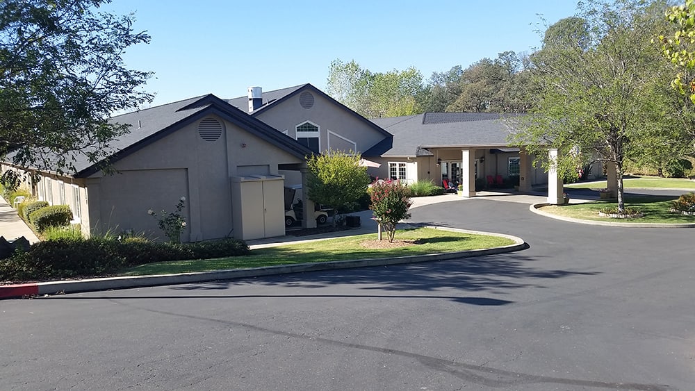 A residential area with houses and a well-maintained driveway surrounded by greenery.
