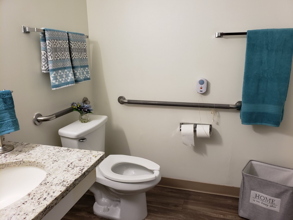 An accessible bathroom with handrails, a toilet, and a sink.