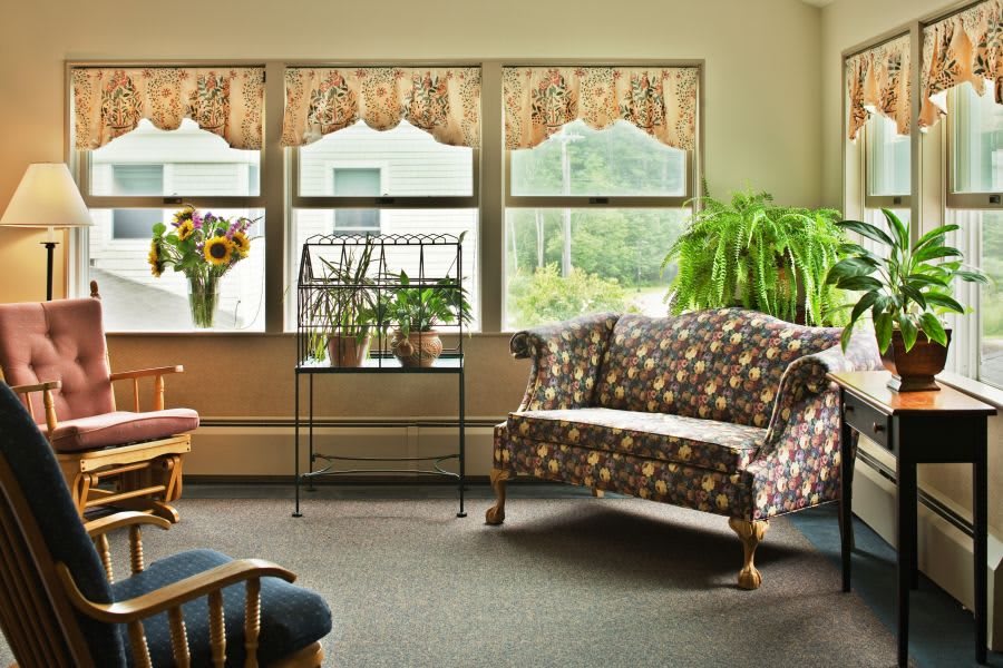 A cozy living room with a patterned sofa, several potted plants, and large windows letting in natural light.