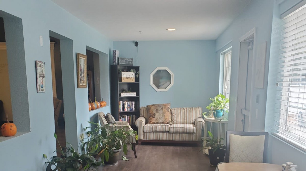 A cozy living room with blue walls, featuring a striped sofa, a bookshelf filled with items, various plants, and a decorative mirror.