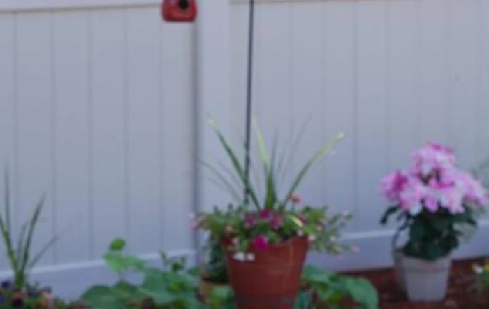 A potted plant with flowers hanging in a garden, set against a white fence.