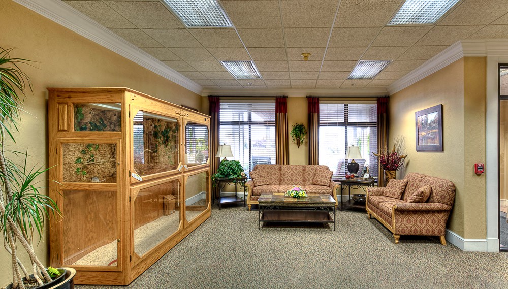 A cozy waiting room with sofas, a coffee table, and large windows.