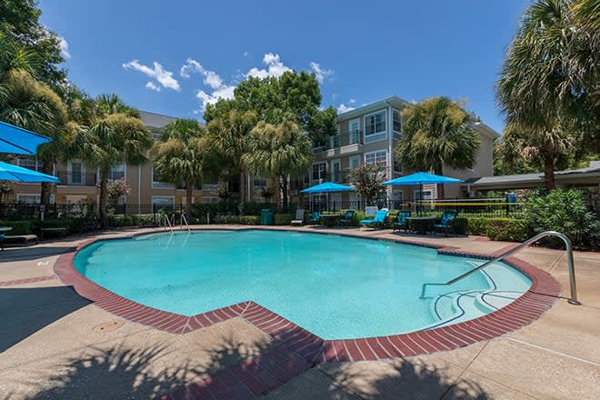 A sunny day at an apartment complex with a clear blue swimming pool surrounded by palm trees and well-maintained landscaping.