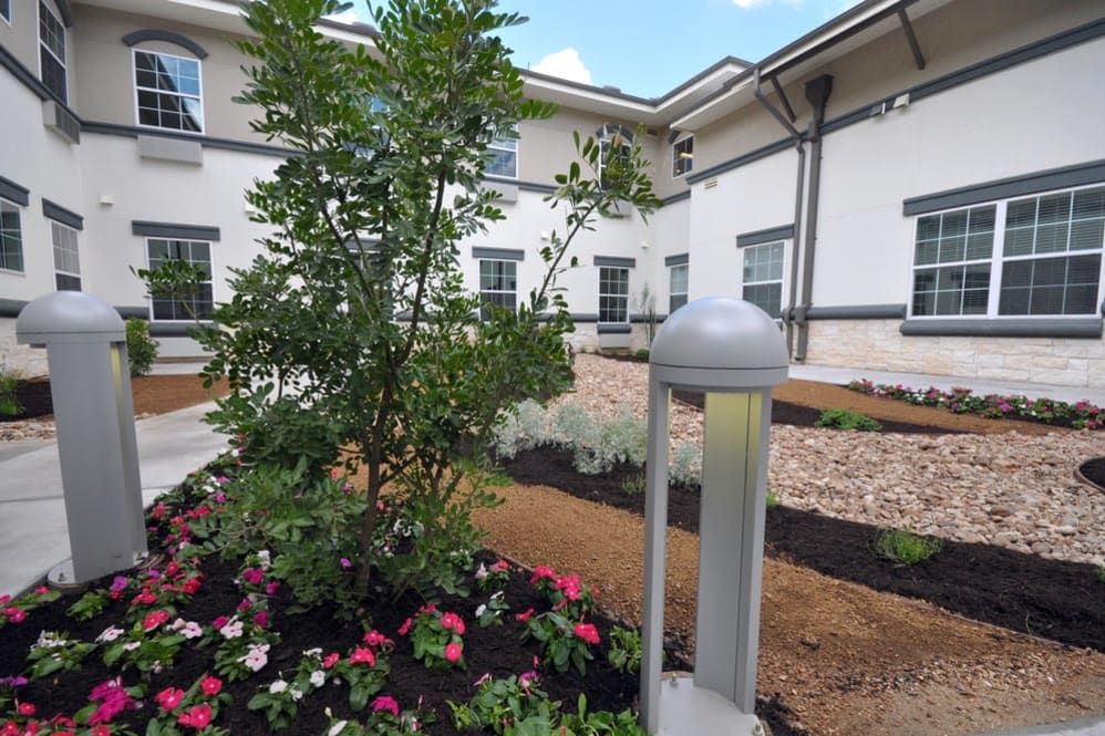A landscaped garden area with flowers and trees in front of a modern building.