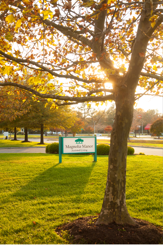 A serene park setting during sunset with a sign and autumn foliage.
