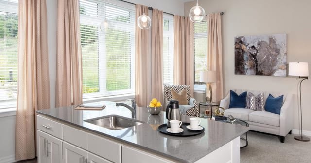 A modern open-concept kitchen and living area with a sleek countertop and cozy decor.