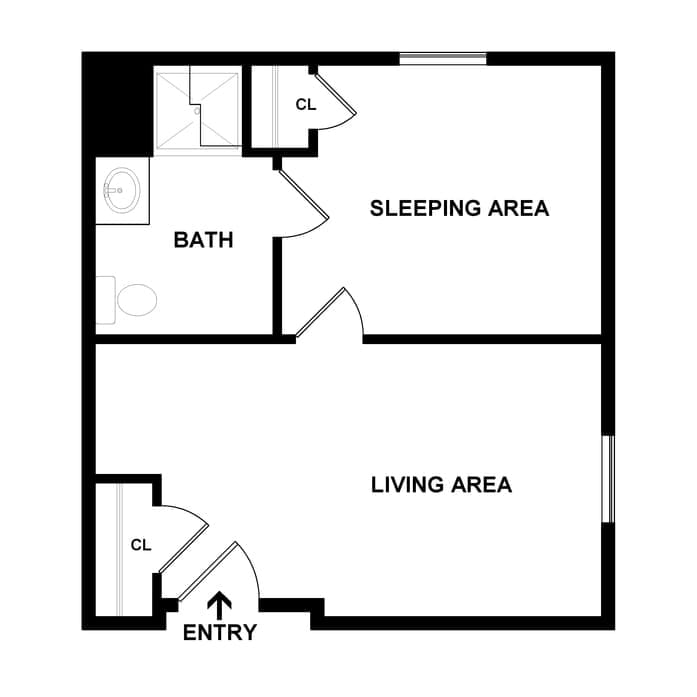 A floor plan of a studio apartment featuring a sleeping area, a living area, and a bathroom.