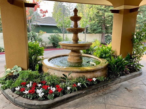 A tranquil garden scene featuring a beautiful fountain surrounded by vibrant flowers.