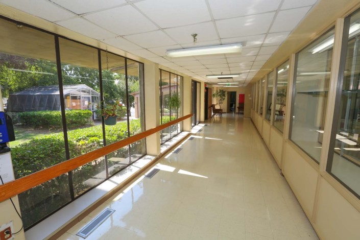 A bright hospital corridor with large windows allowing natural light to flood in.