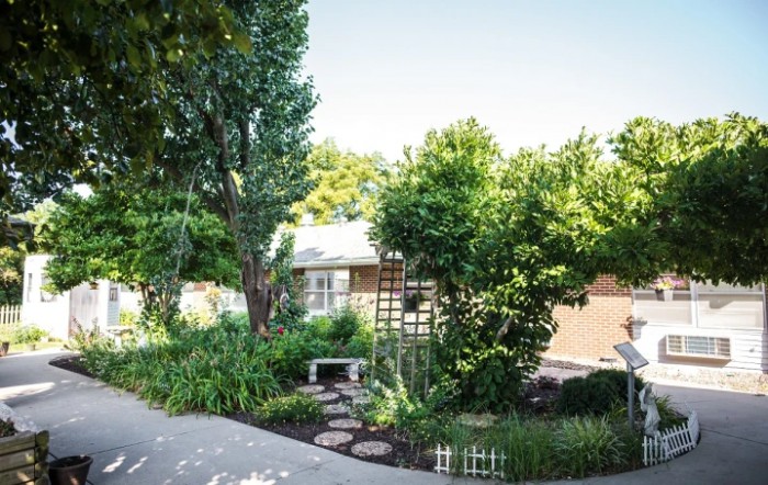 A lush garden with a stone pathway leading to a house, surrounded by vibrant greenery and tall trees.